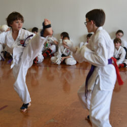 Best Martial Arts Classes: 