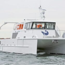 Best August Events for Grown Ups 