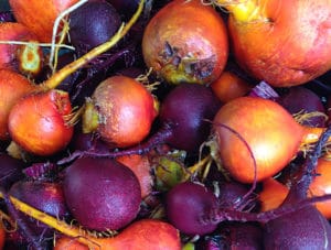 A Taste of Westchester: Cabbage Hill Farm