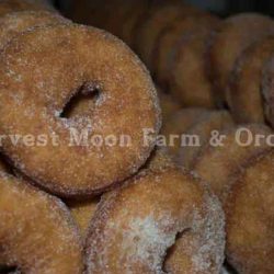 Harvest Moon Farm & Orchard Festival Weekends