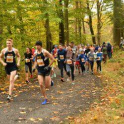 Rocky’s 5K at Rockefeller State Park  Fall Trail Races and Charity Walks