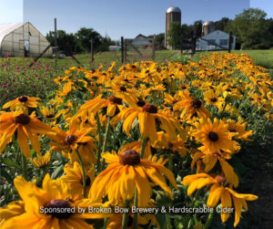 Hang Out At Hilltop Fall Fundraiser