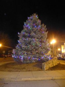 Bedford Hills Tree Lighting