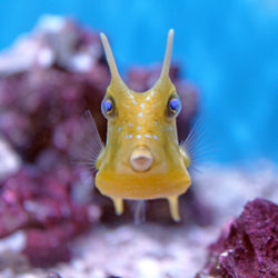 Five Fun (STE(A)M-y) Places to Take the Kids in Winter