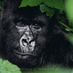 Five Fun (STE(A)M-y) Places to Take the Kids in Winter