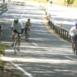 Bicycle Sundays Bronx River Parkway