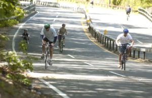 Bicycle Sundays Bronx River Parkway