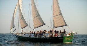 Stamford HarborFest Sail