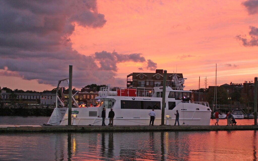 TGIF Cruise: Spirit of the Sound