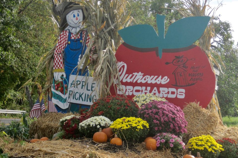 Apple Picking in Westchester (in the Age of Covid) Outhouse Orchards