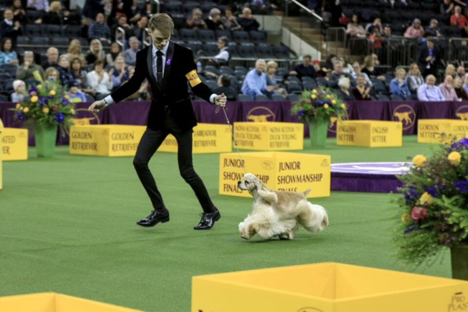 Best Events June 2021