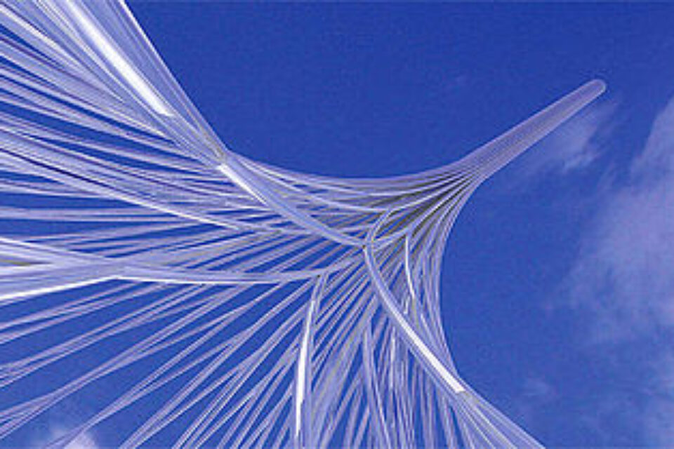 The Rising Unveiling