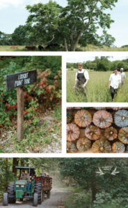 Stone Barns Center Harvest Feast