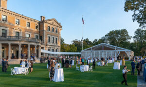 Teatown: A Night in the Woods