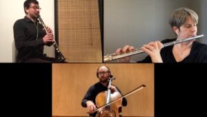 Orchestra 914 in Pleasantville