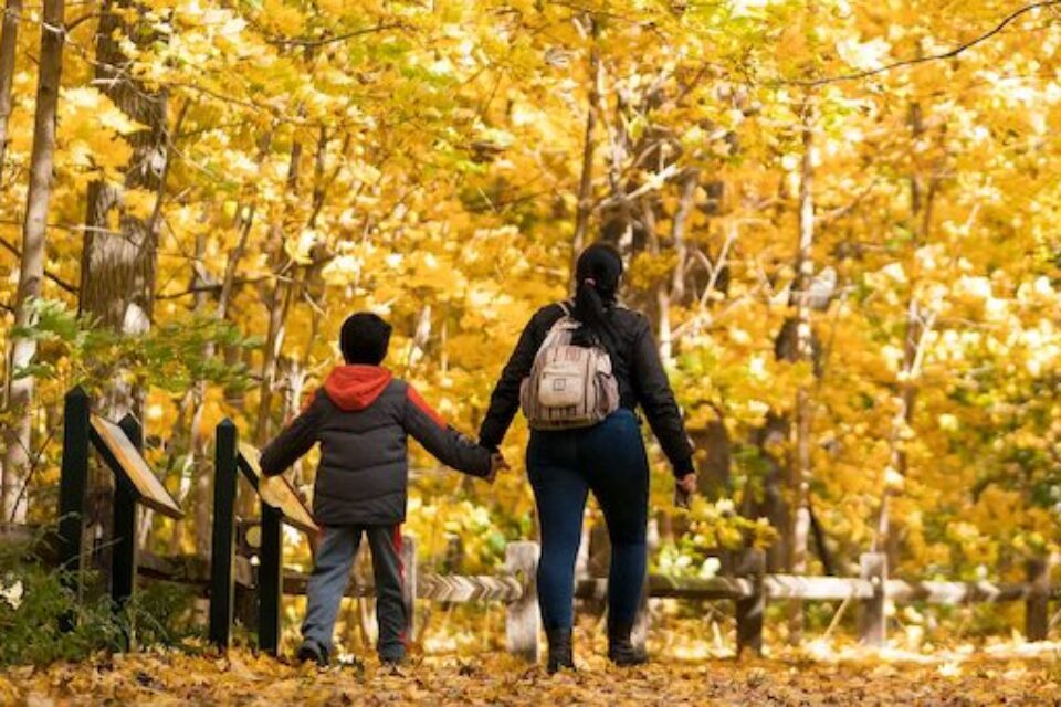 NYBG Fall Forest Weekends