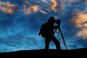 Westmoreland Sanctuary Nature Photography