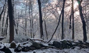 Teatown Winter Hike