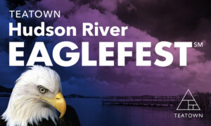 Teatown Hudson River EagleFest