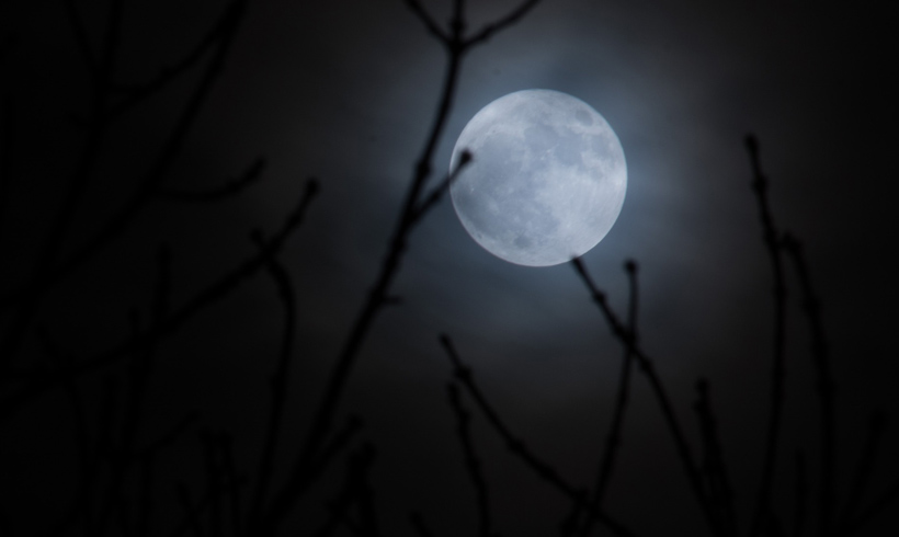 Teatown Full Moon Series