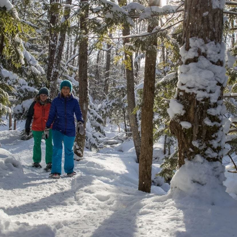 BRLA Winter Trail Hikes