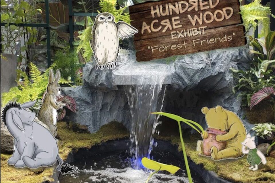 Lasdon Park 100 Acre Wood Exhibit