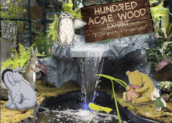 Lasdon Park 100 Acre Wood Exhibit