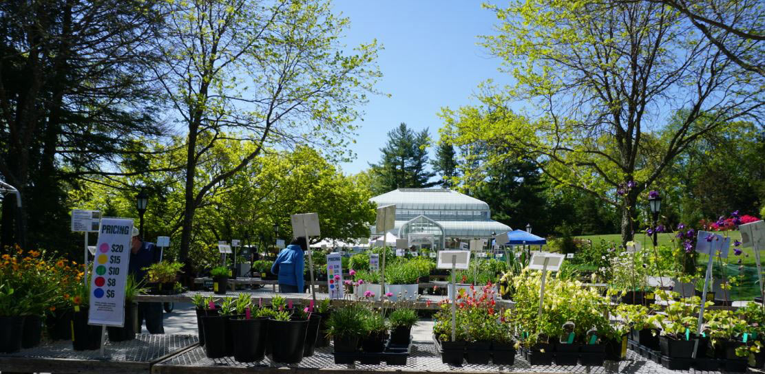 Friends of Lasdon Park Plant Sale