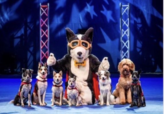Chris Perondi's Stunt Dog Experience at The Paramount Hudson Valley
