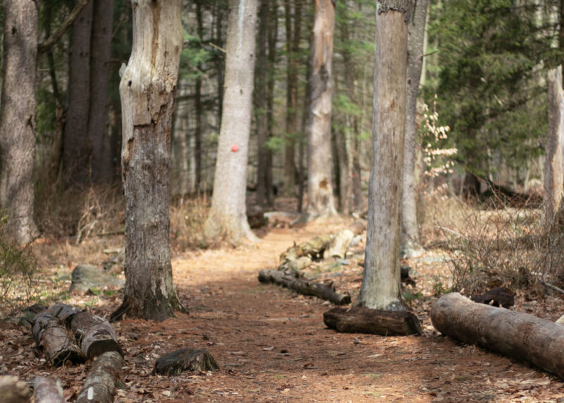 Teatown Lake Memorial Day Hike
