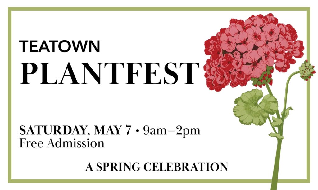 Teatown Plant Fest
