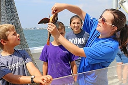 Maritime Aquarium: Marine Life Encounter Cruises