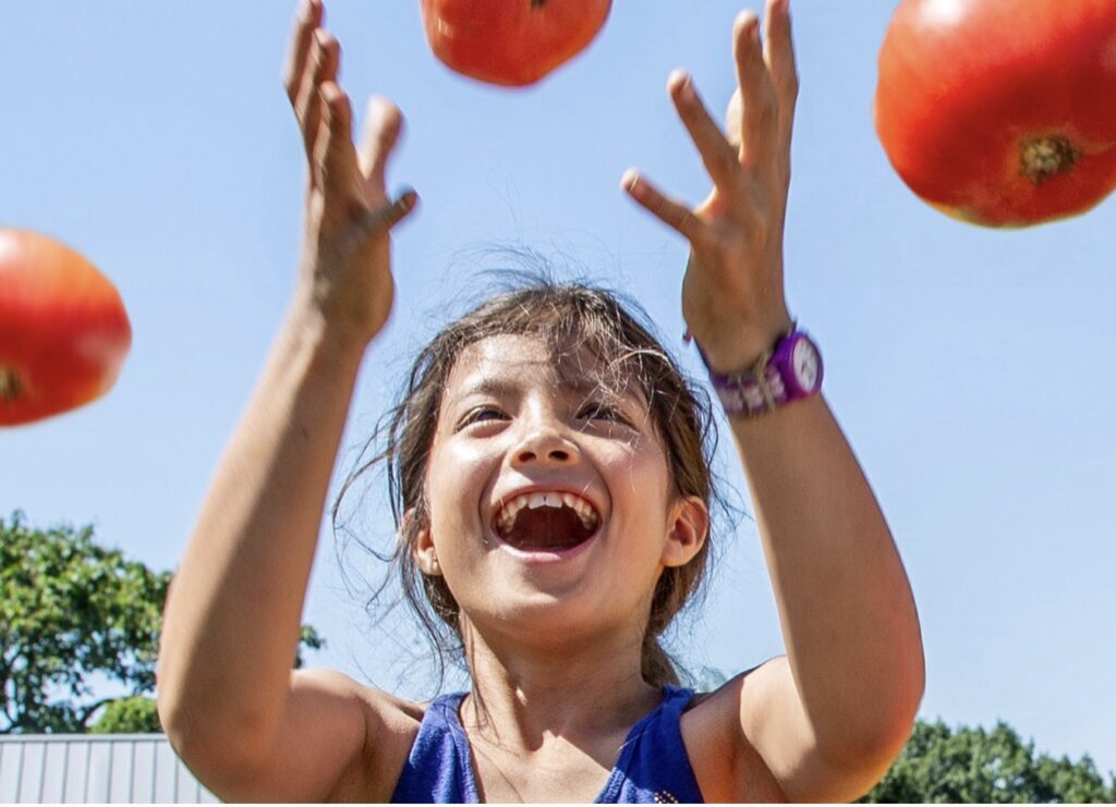 Totally Tomatoes Weekend at the New York Botanical Garden