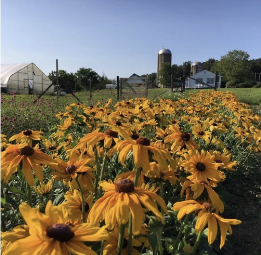 Hilltop Hanover Farm: View, Brews & BBQ