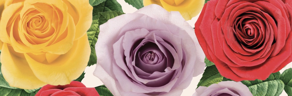 New York Botanical Garden Bloom Fall Benefit