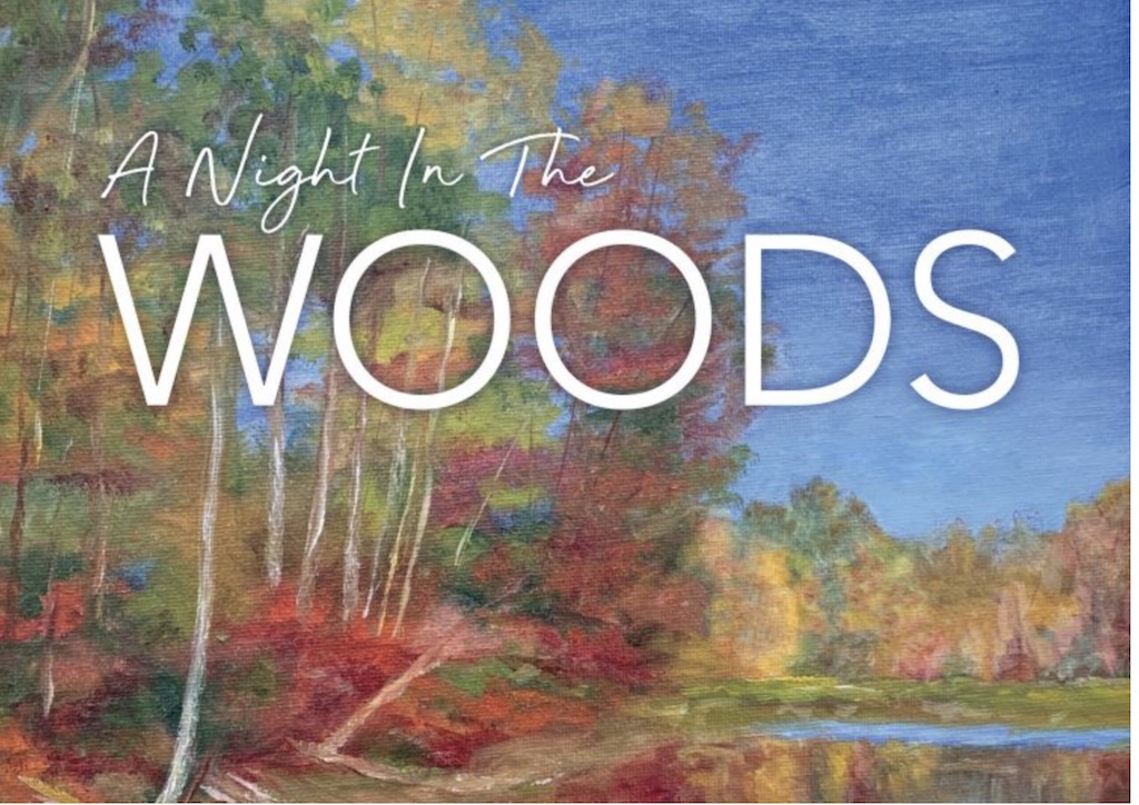 Teatown Lake: A Night in the Woods Benefit