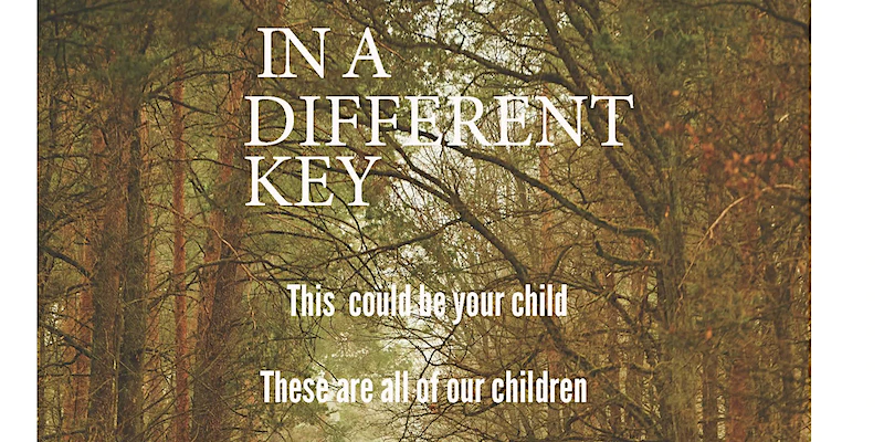 Bedford Playhouse: In A Different Key