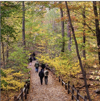 New York Botanical Garden: Fall Forest Weekend