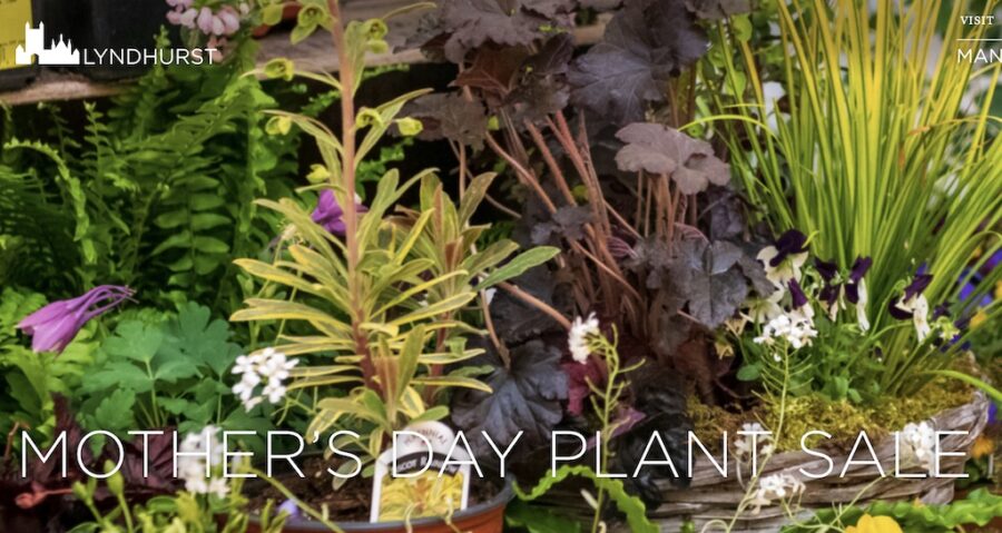 Mother's Day Plant Sale at Lyndhurst Mansion