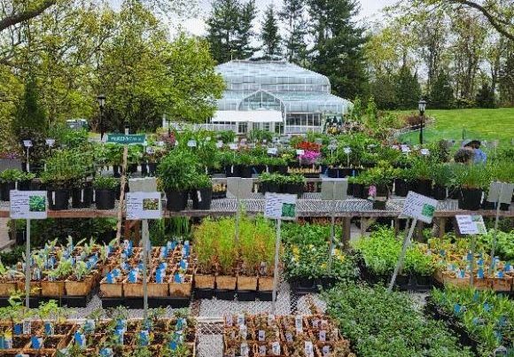 Annual Friends of Lasdon Park Plant Sale