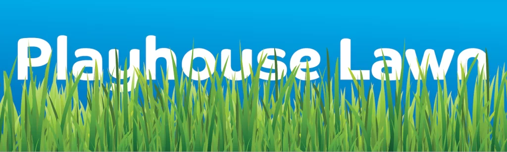 Summer on the Playhouse Lawn: The Psychedelicats