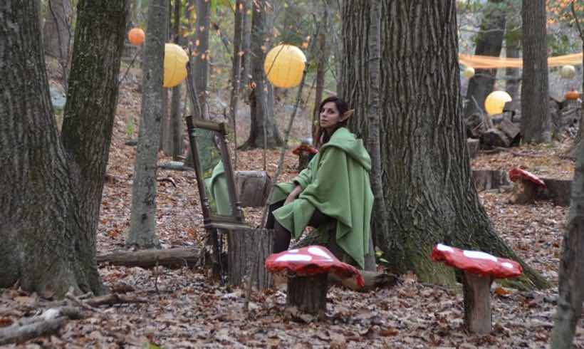 Teatown's Enchanted Forest