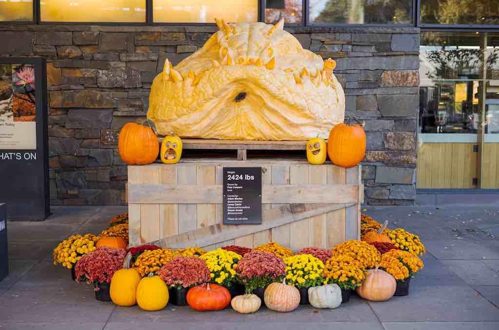 NYBG: Giant Pumpkin Carving Weekend