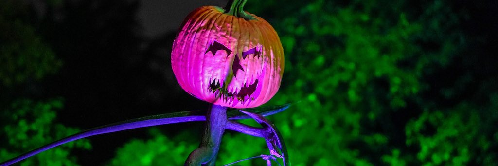 Spooky Garden Nights at NYBG