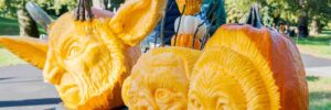 NYBG: Pumpkin Carving Face Off