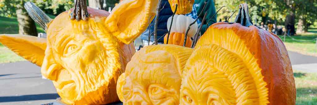 NYBG: Pumpkin Carving Face Off