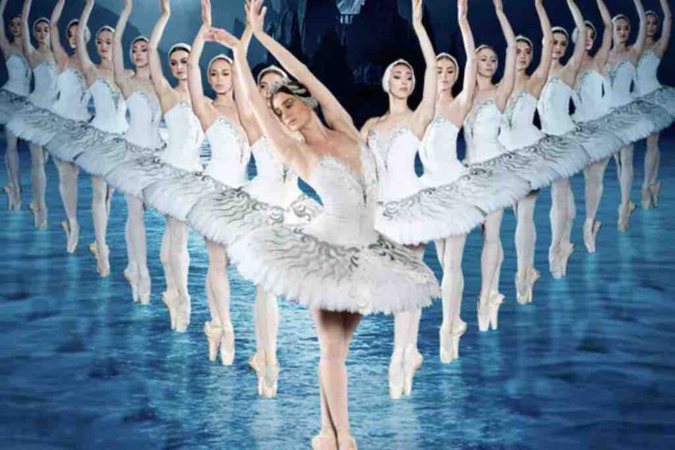 The Palace Stamford: Swan Lake