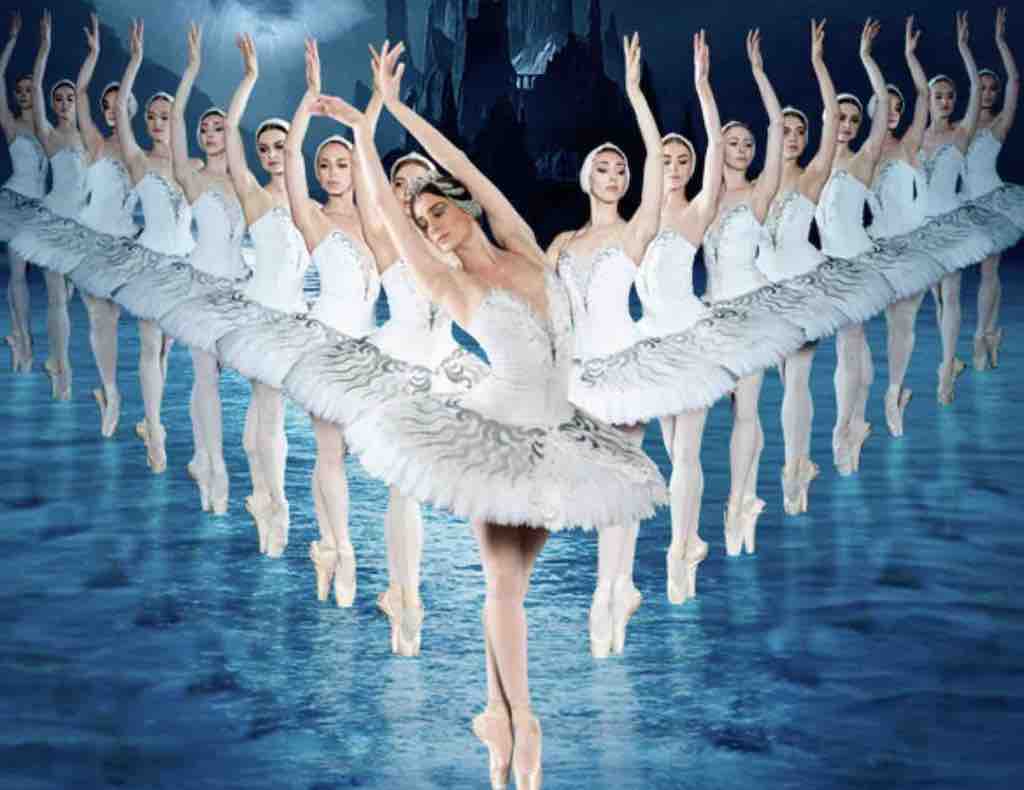 The Palace Stamford: Swan Lake