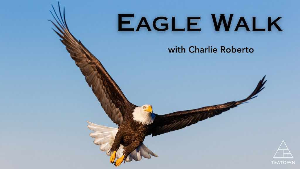 Teatown Eagle Walk