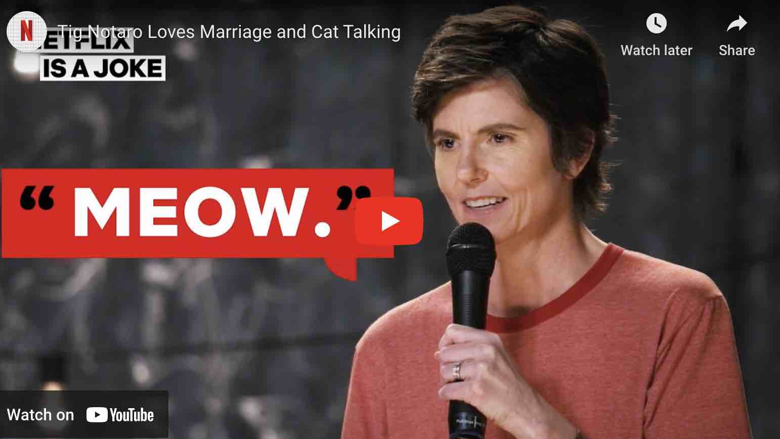 Paramount Hudson Valley: Tig Notaro